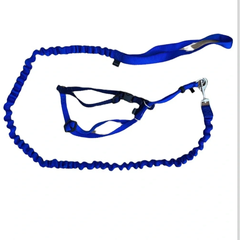 Pet safe come with me kitty harness and bungee leash blue medium